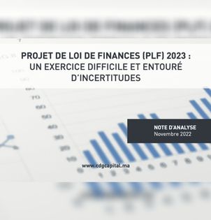 Projet_de_loi_de_finances