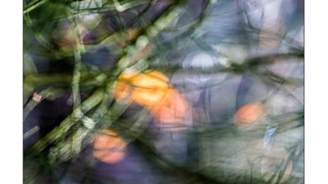 danse-avec-les-flous