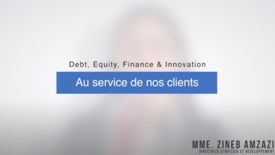 debt-equity